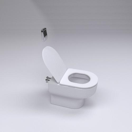 Carrara Toilet