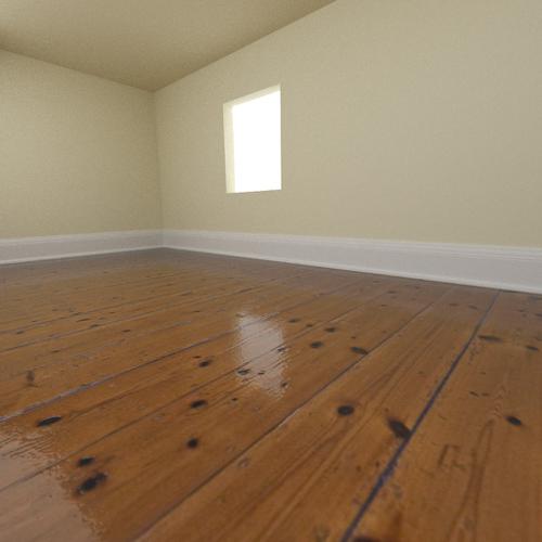 Polished Floorboards