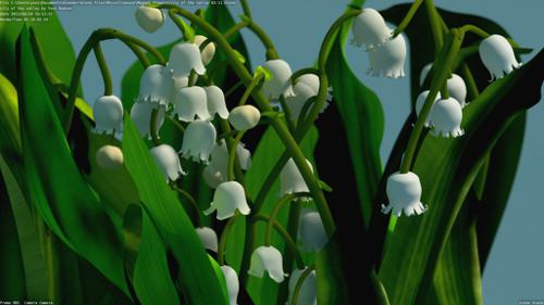 Lily of the valley ou Muguet