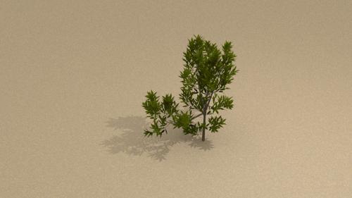 Bush (Sapling Generator)