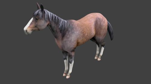 caballo rig