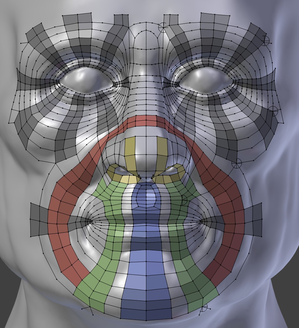 Face retopo refence