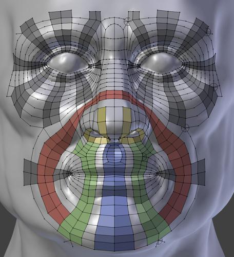 Face retopo refence