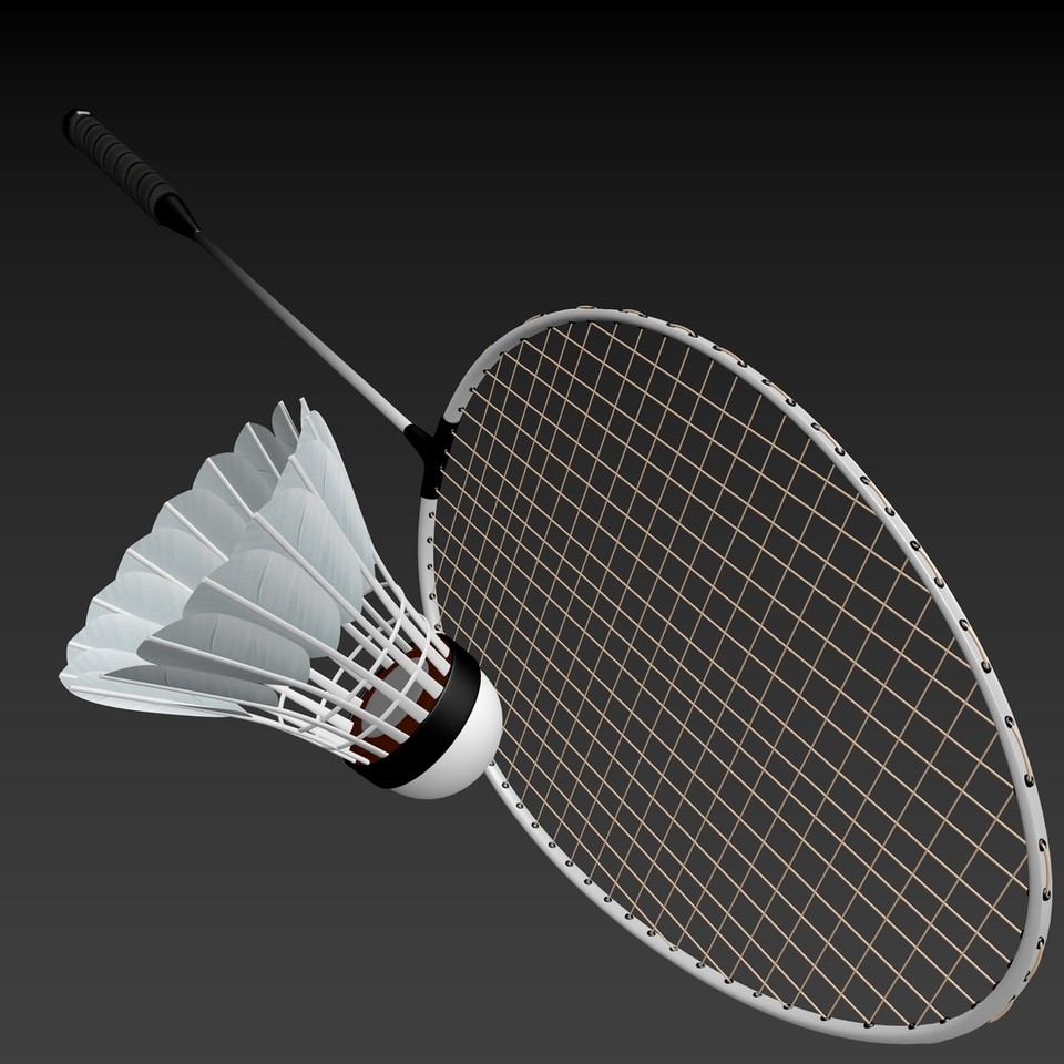 Racket And Shuttlecock