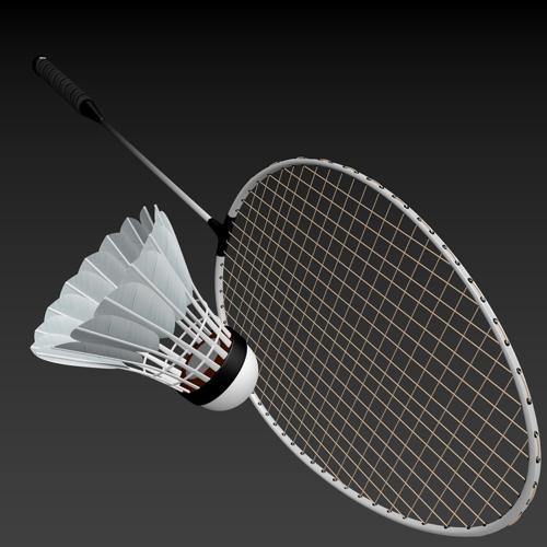 Racket And Shuttlecock