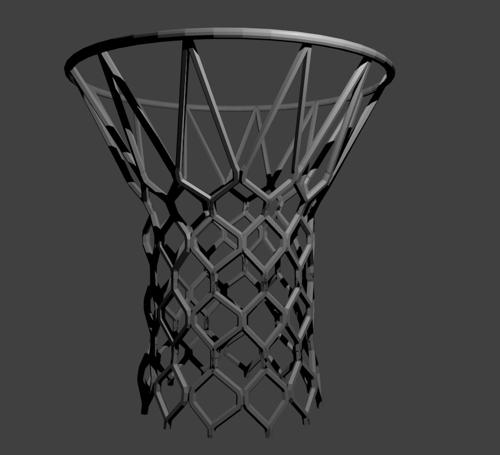 Basketball net and rim