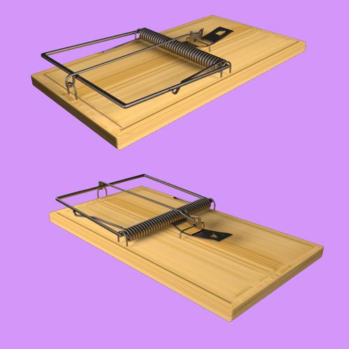 Mousetrap Without Cheese