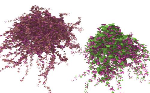 ColorFul Bushes