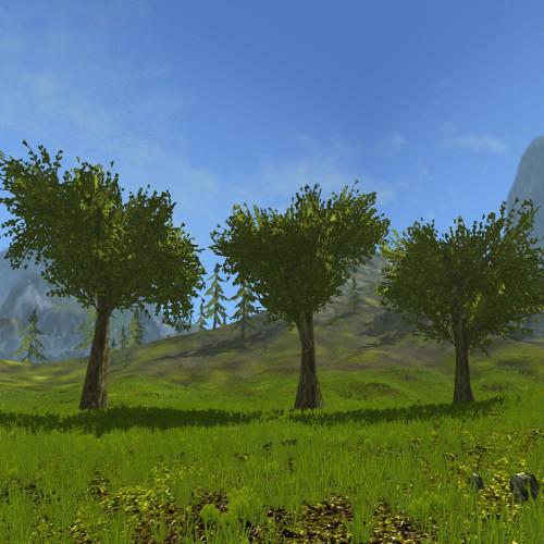 Massive Swamptree
