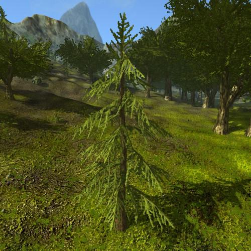 Conifer like tree, low poly