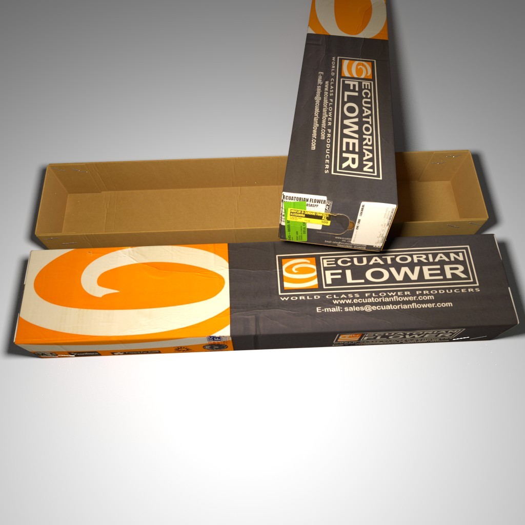 Cardboard