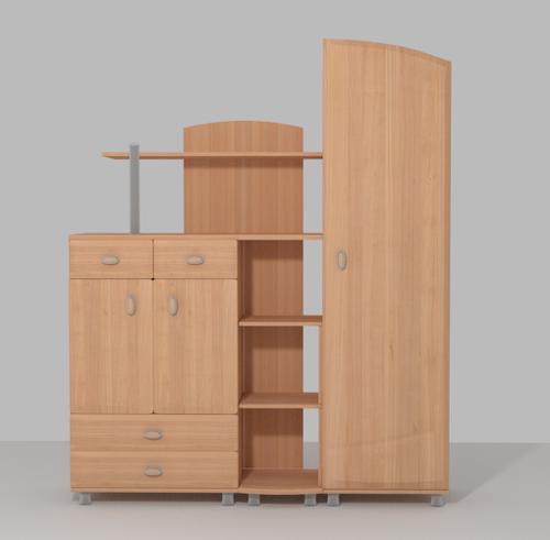 Wardrobe plus Books cabinet