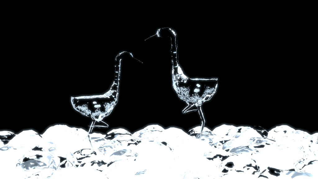 Ice birds