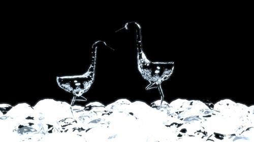 Ice birds