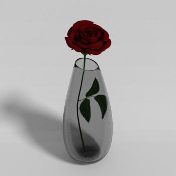 Rose - Cycles