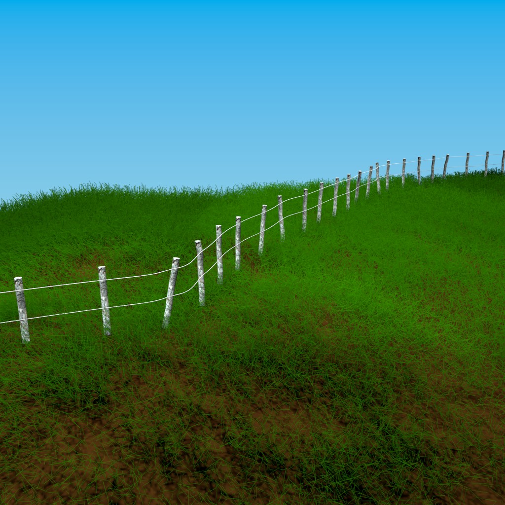Wild Grass