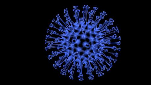 virus