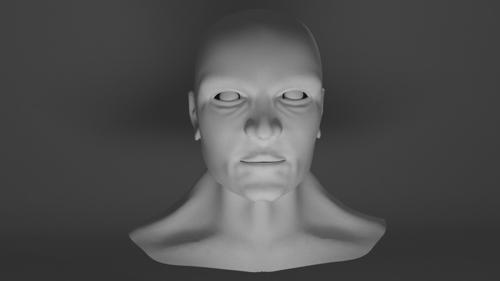 Head Sculpt