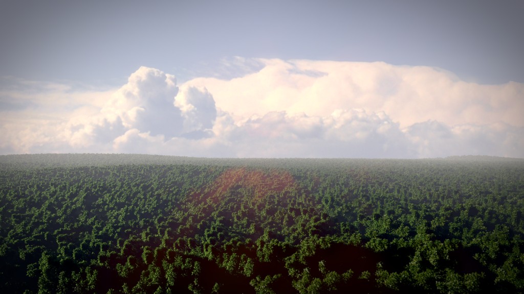 -Field of Tree's 2-