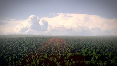 -Field of Tree's 2-