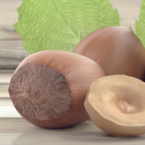 Hazelnut