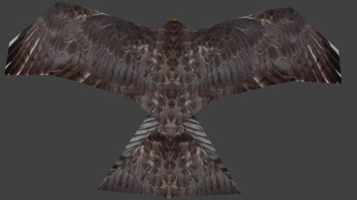Hawk