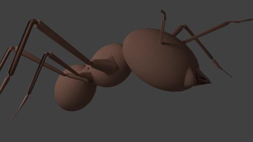 Ant