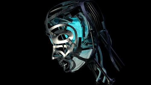 Robotic Head