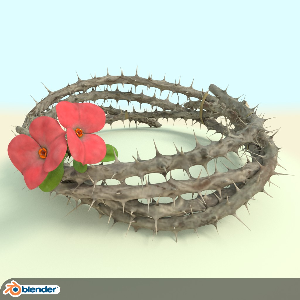 Crown of Thorns