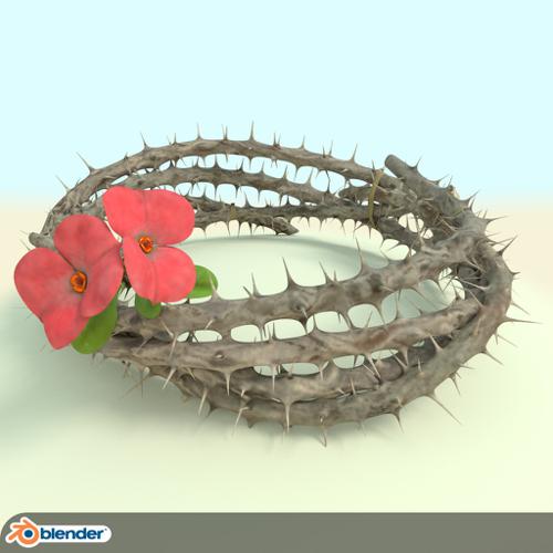 Crown of Thorns