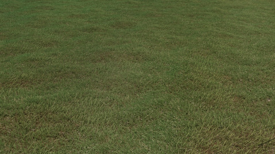 Short Grass