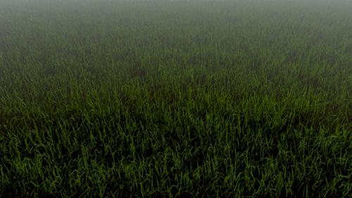 Realistic Grass in Cycles
