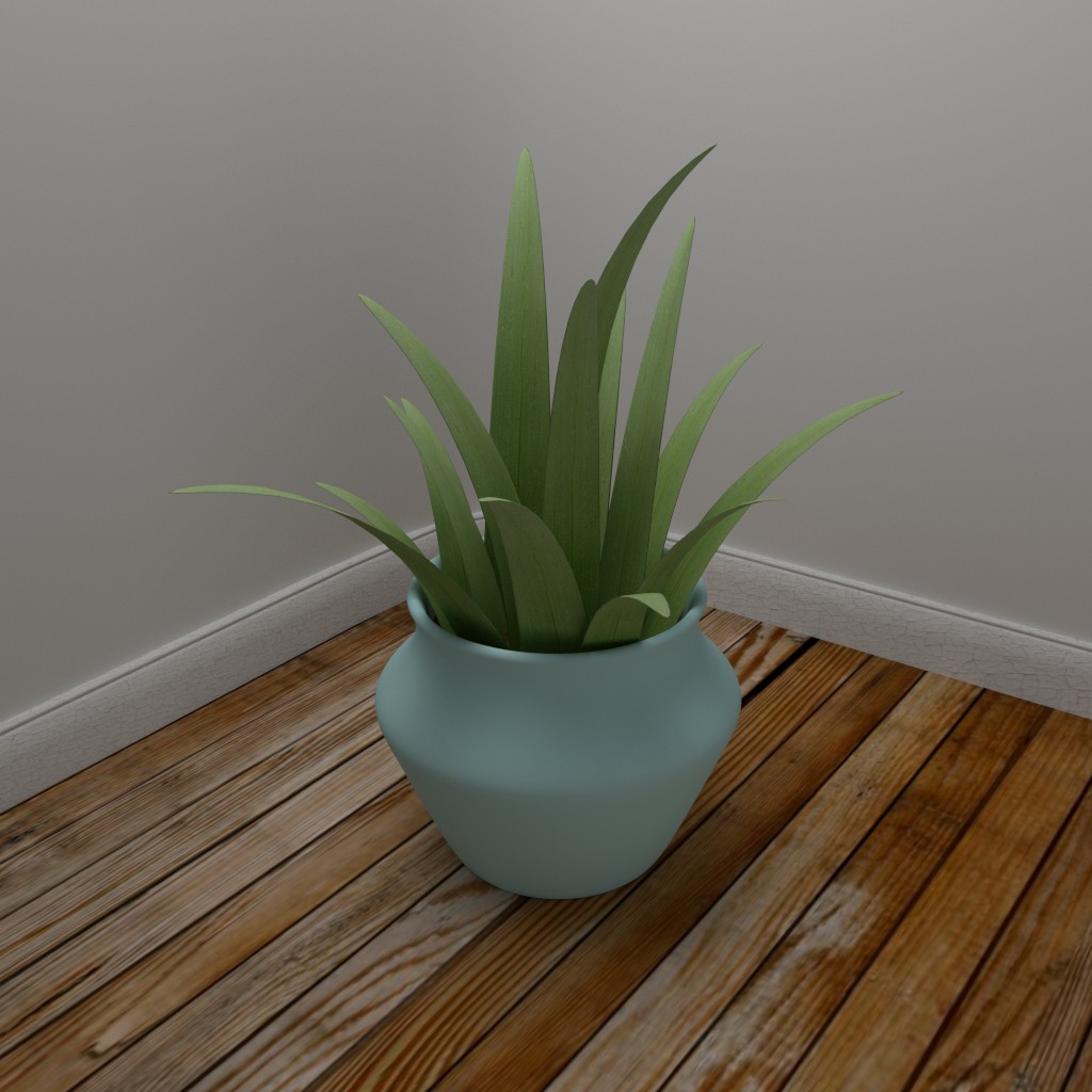 Small indoor plant