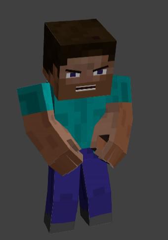 Steve Rig