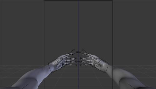 Basic fps rig