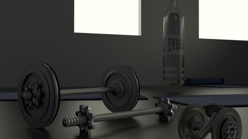 Simple Gym set -cycles