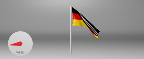 Animated Flag